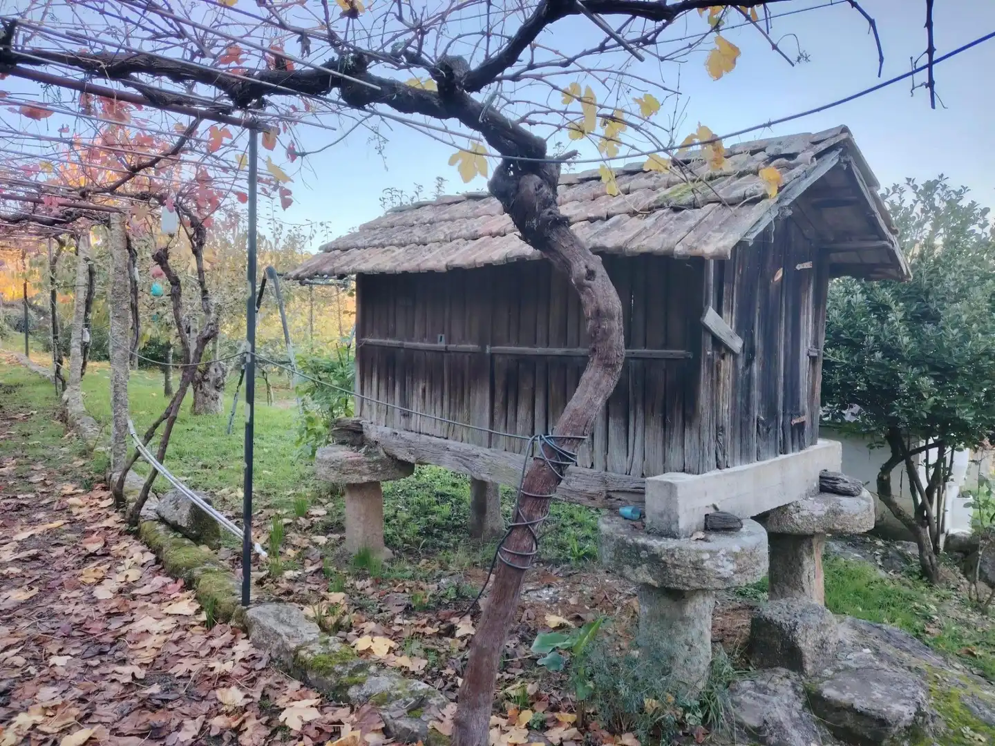 Casa o chalet en venta en Crecente