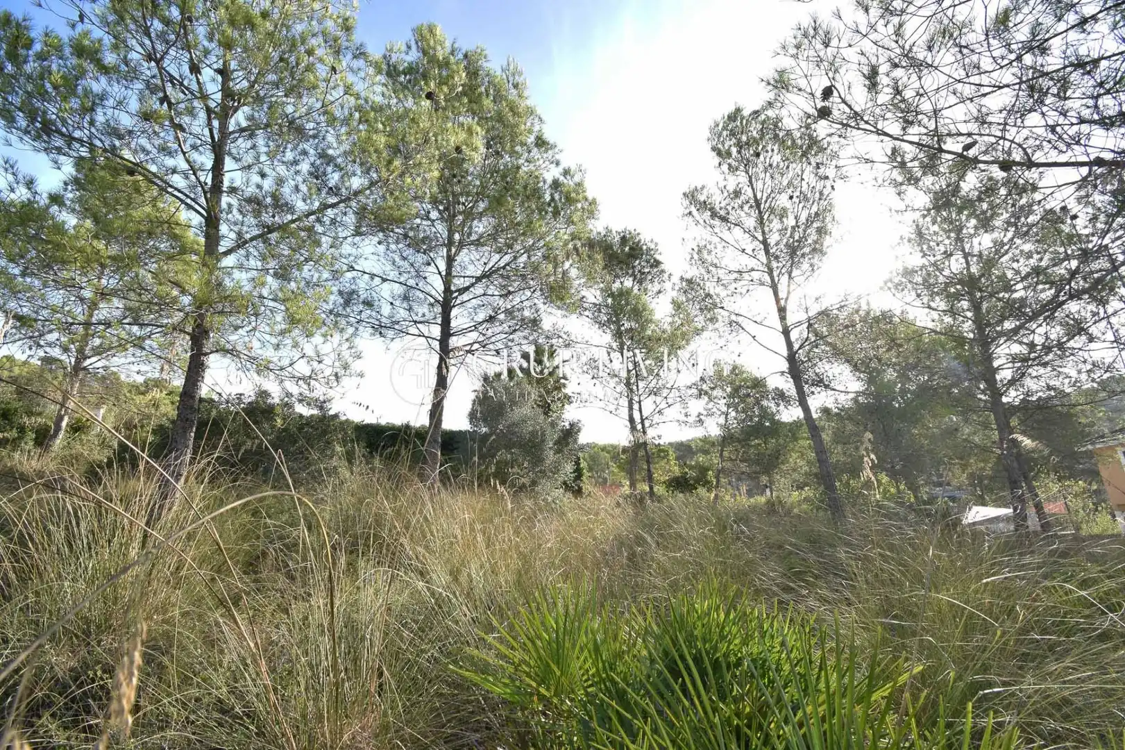 Terreno residencial en venta en Olivella, imagen 13