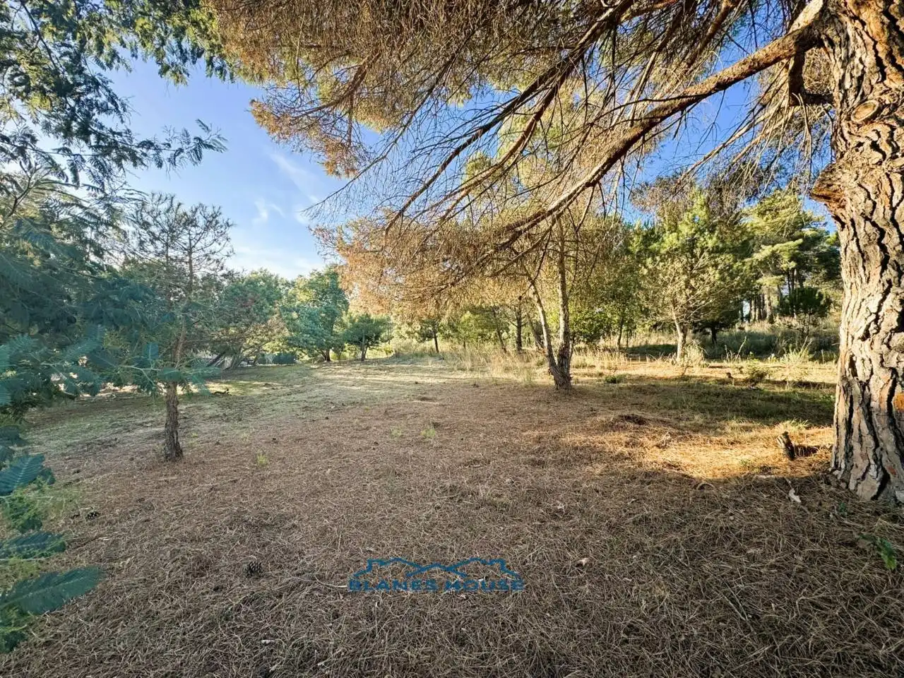 Finca rústica en venda en Tordera amb Jardí privat