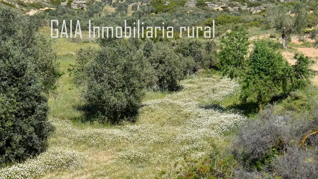 Casa rústica en venda a Maella, imagen 12