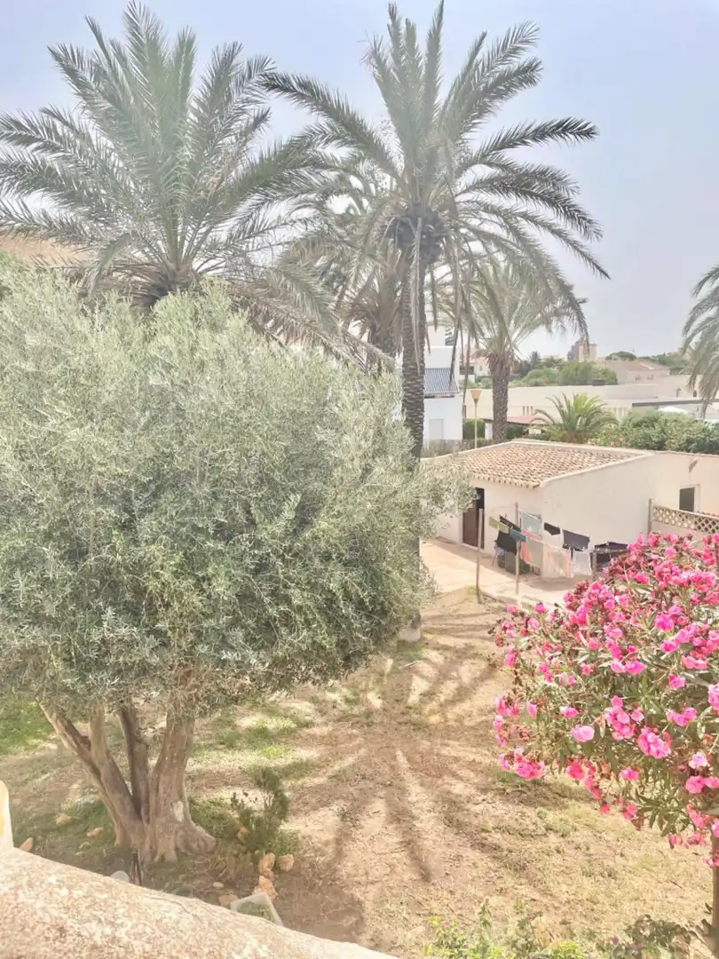 Jardín de Casa o chalet en venta en El Ejido con Aire acondicionado, Calefacción y Jardín privado