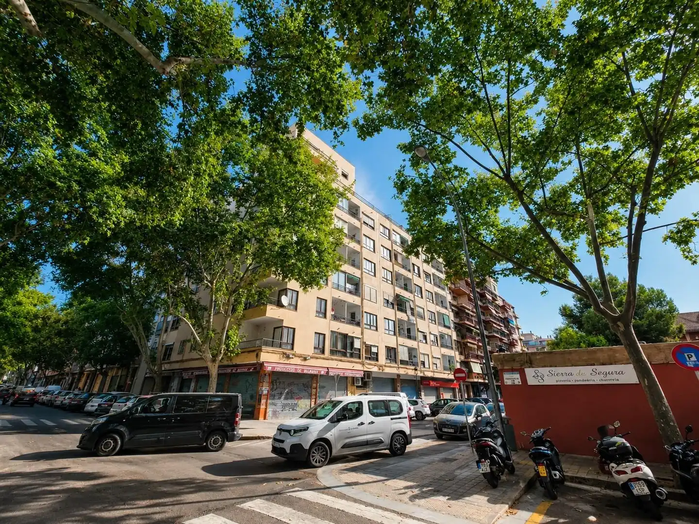 Pis amb terrassa en venda a Calle Camp Redó