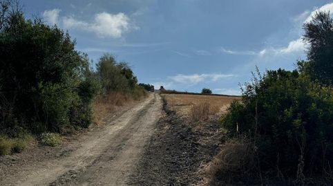 Foto 4 de Terreno en venta en Arcos de la Frontera, Cádiz
