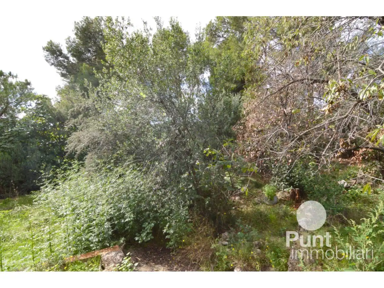 Rural land for sale in Pallejà, imagen 4