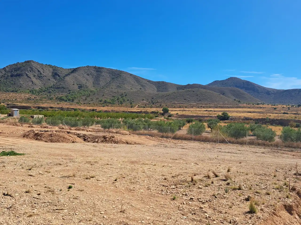 Casa rústica con piscina en venta en Abanilla, imagen 4
