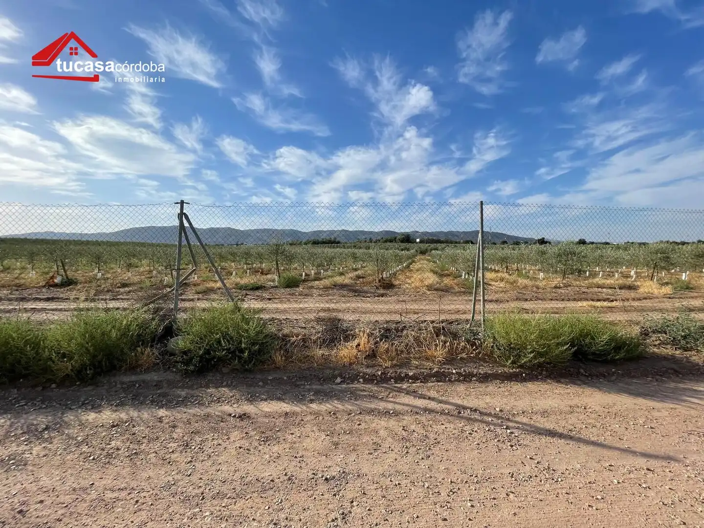 Finca rústica en venta en Córdoba con Piscina