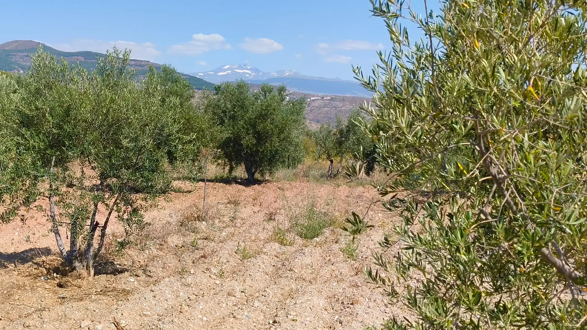 Finca rústica en venda en Turón amb Jardí privat