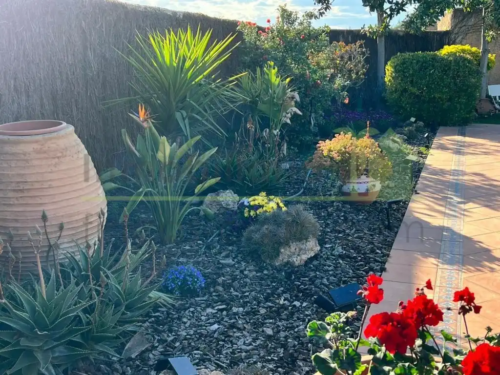 Jardí de Casa o xalet en venda en Vinaròs amb Calefacció, Jardí privat i Terrassa