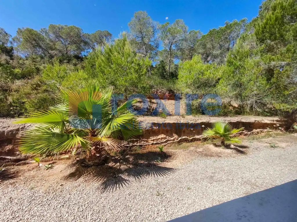 Garden of Houses for rent in Sant Josep de sa Talaia  with Air Conditioner, Private garden and Terrace