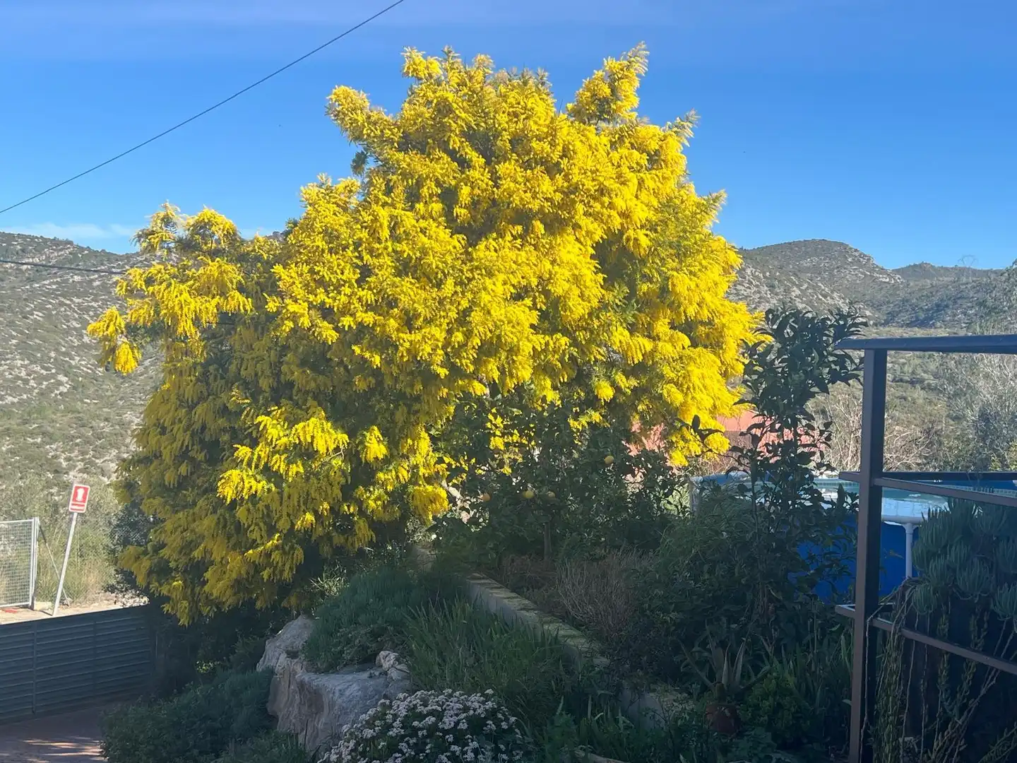 Jardín de Casa o chalet en venta en Olivella con Aire acondicionado, Calefacción y Jardín privado