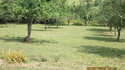 Photo 5 of Land for sale in Camín de Los Quintos, 500, Lavandera, Asturias