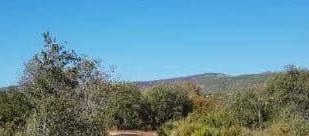 Exterior view of Land for sale in Benicolet