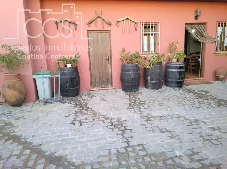 Vista exterior de Finca rústica en venta en Alcalá de Guadaira con Piscina y Amueblado