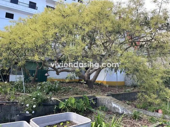 Jardín de Casa o chalet en venta en Los Realejos con Jardín privado, Terraza y Amueblado