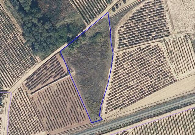Terreno en Venta en Alcanadre