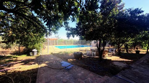 Foto 2 de Finca rústica en venda a Diseminado Poligono 87, Zona de la Vega, Antequera