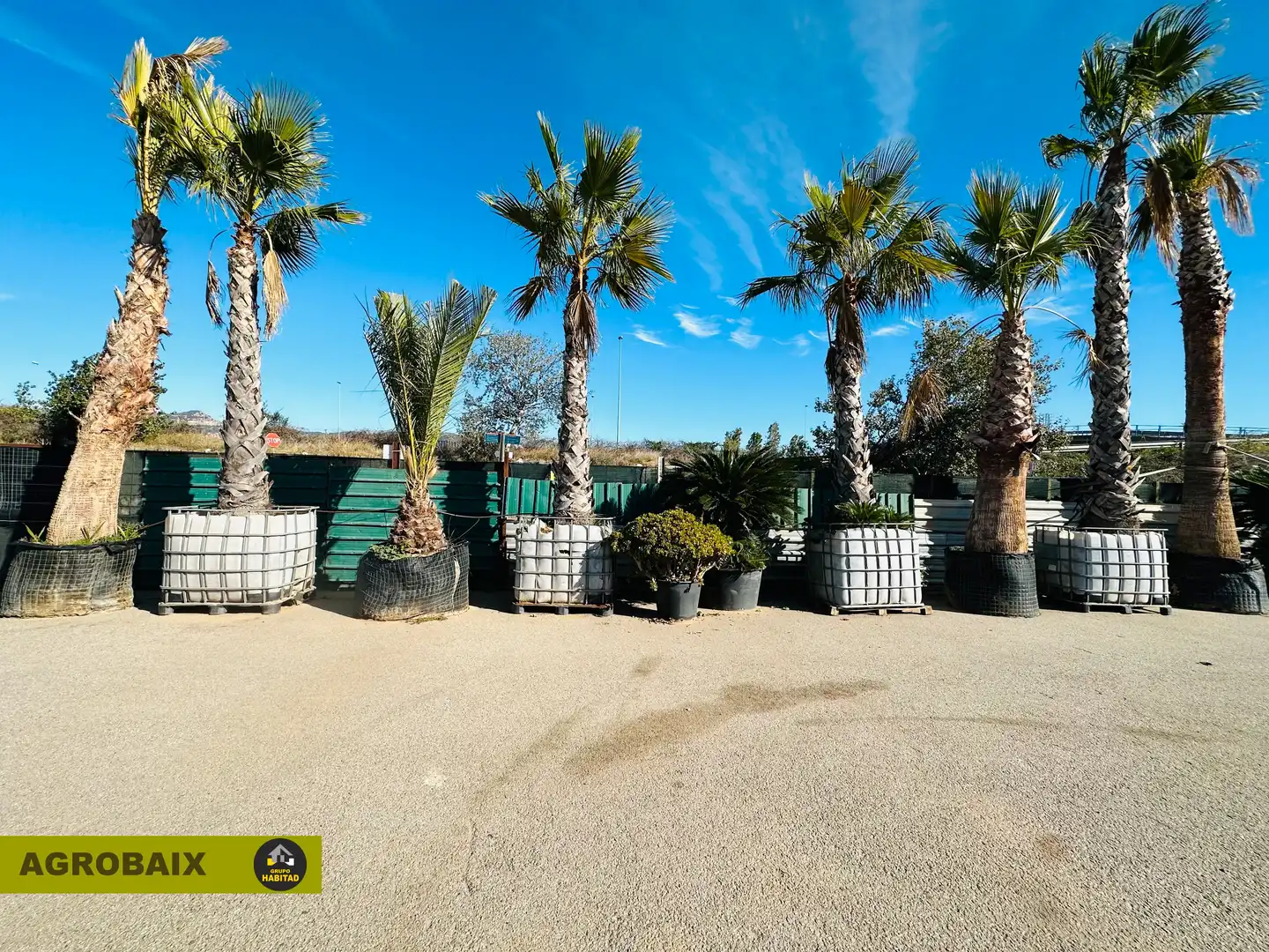 Terreno rustico in vendita a Eixample, imagen 50