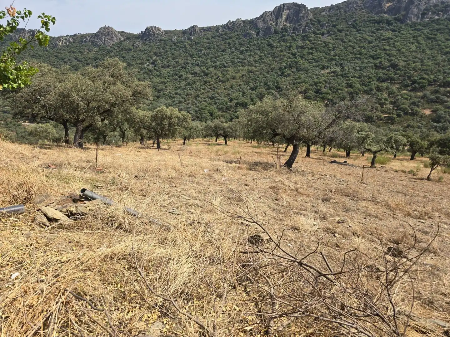Terreni e lotti in vendita a Montesol - Mejostilla, imagen 4