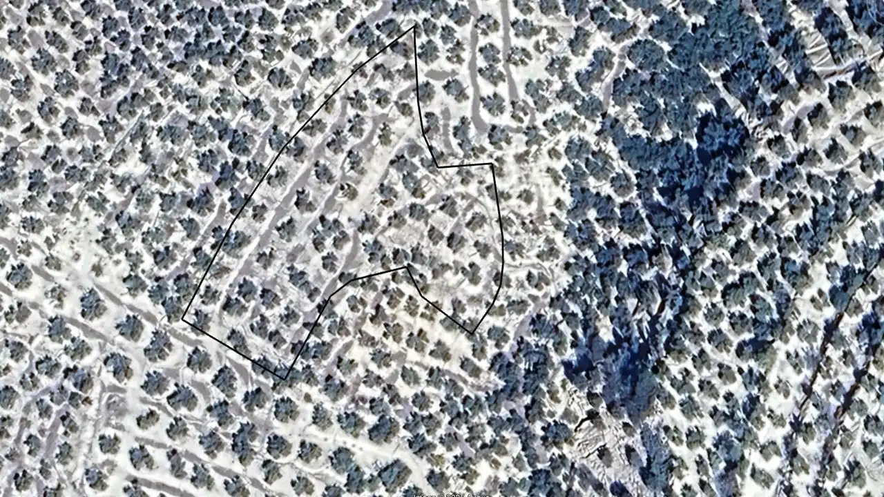 Lands and plots for sale in Llano del Cambrón, imagen 3