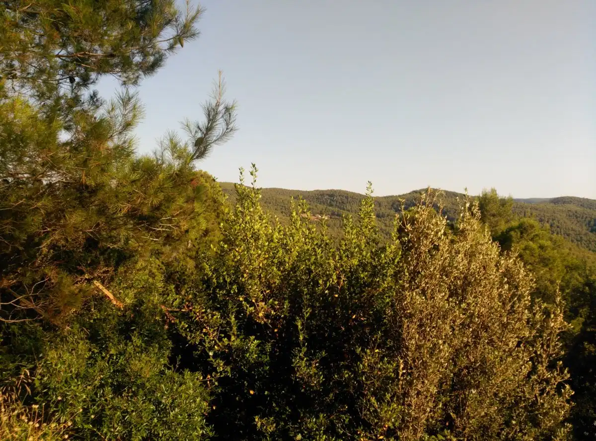 Terreni e lotti in vendita a Corbera de Llobregat, imagen 38