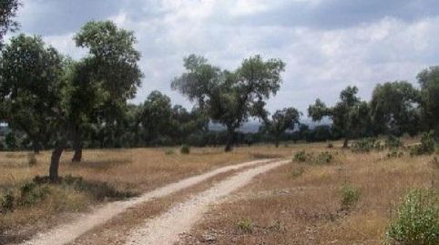 Foto 2 de Terreny en venda a Alcántara, Cáceres