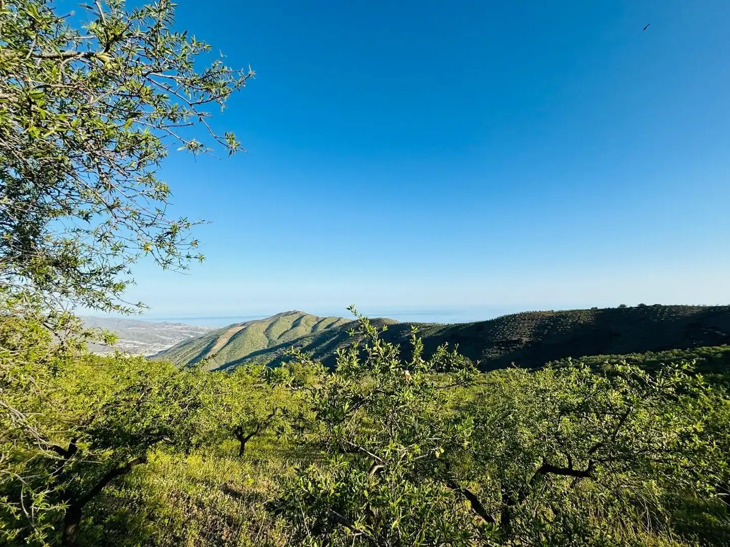 Casa en venda a Sorvilán, imagen 24