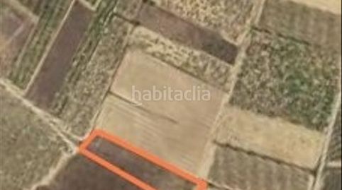 Viña de secano sin cultivo, immagine 4