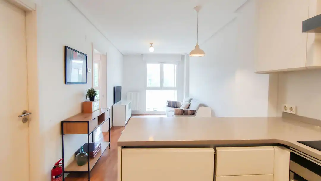 Wohnzimmer von Wohnung zum Verkauf in Donostia - San Sebastián  mit Heizung und Möbliert