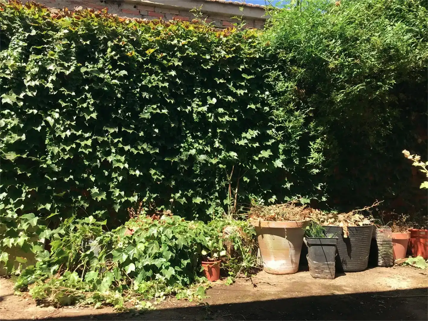 Jardí de Planta baixa en venda en Guijuelo amb Forn i Rentadora