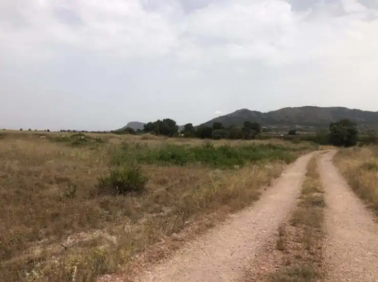 Terreny rústic en venda a Costera Blanca, imagen 6