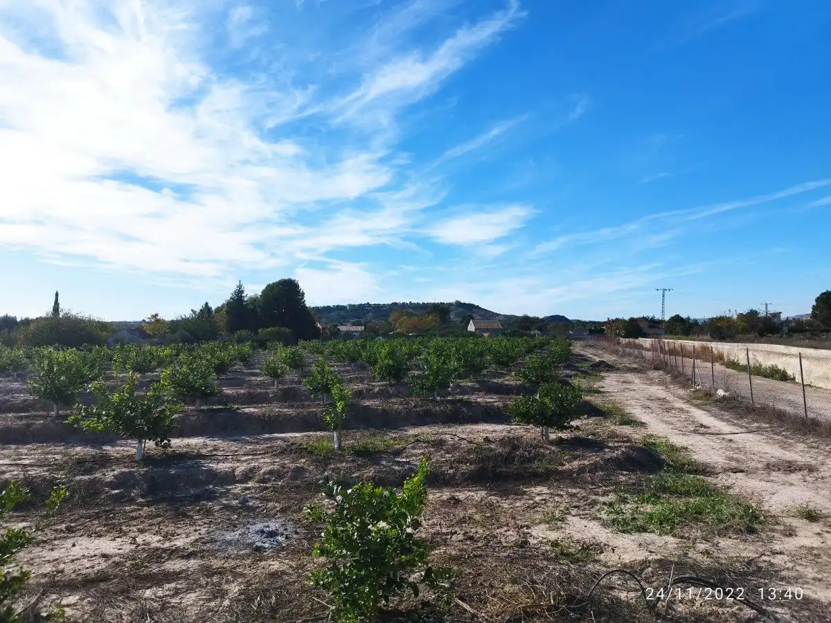 Terreny residencial en venda a El Llano, imagen 9