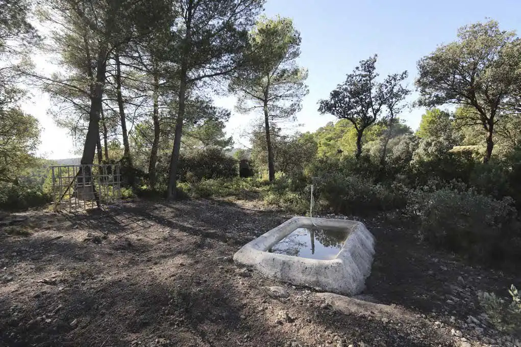 Casa rústica en venta en Torremanzanas / La Torre de les Maçanes, imagen 15