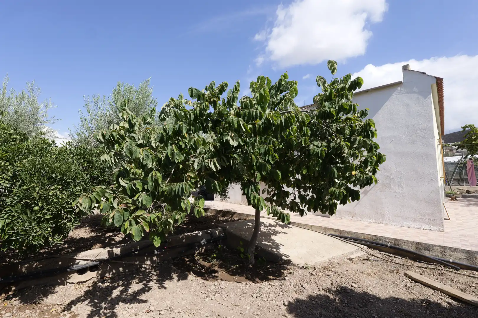 Garden of Houses for sale in Berja  with Air Conditioner, Private garden and Terrace