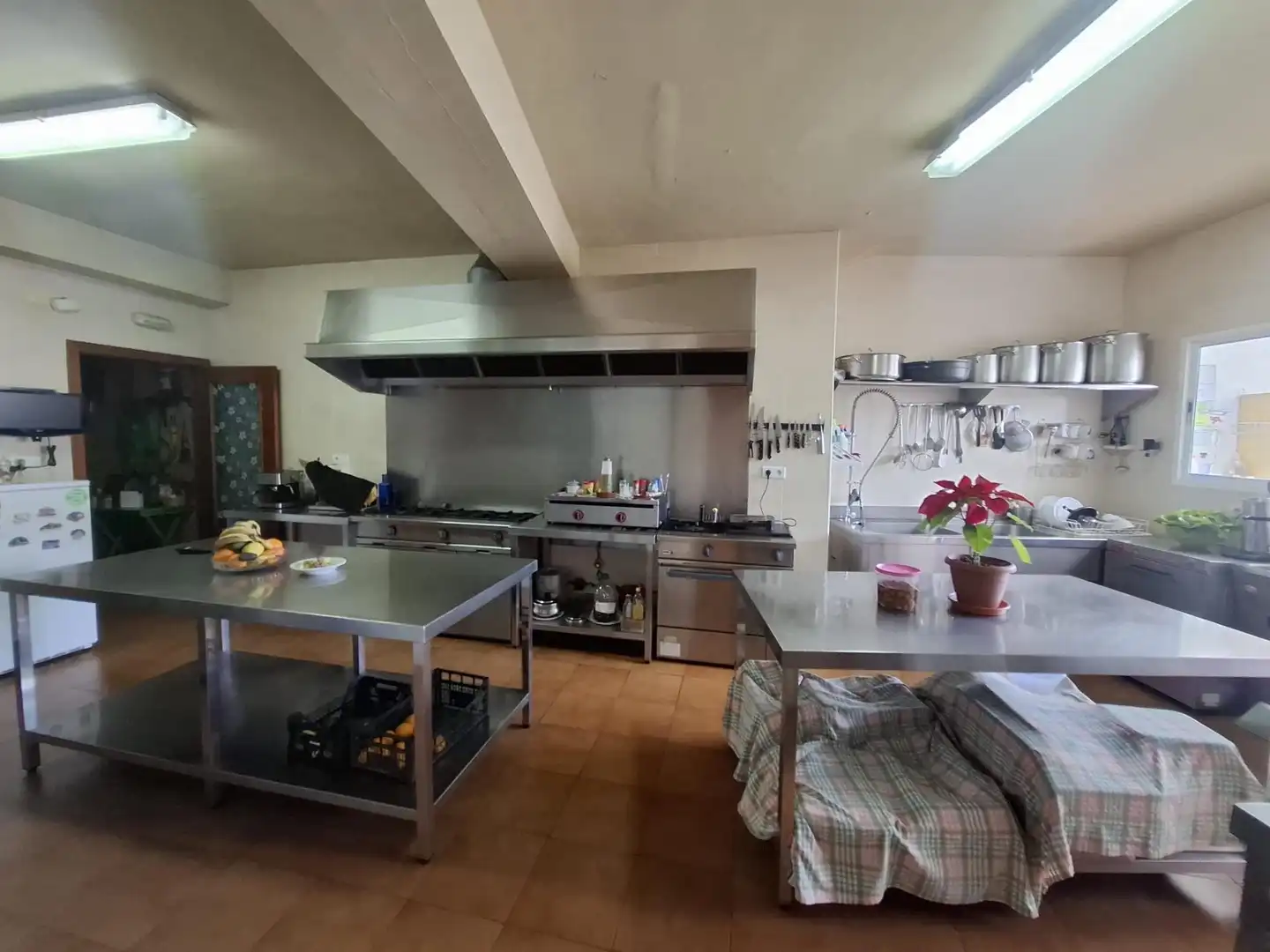 Cocina de Edificio en venta en Tolox