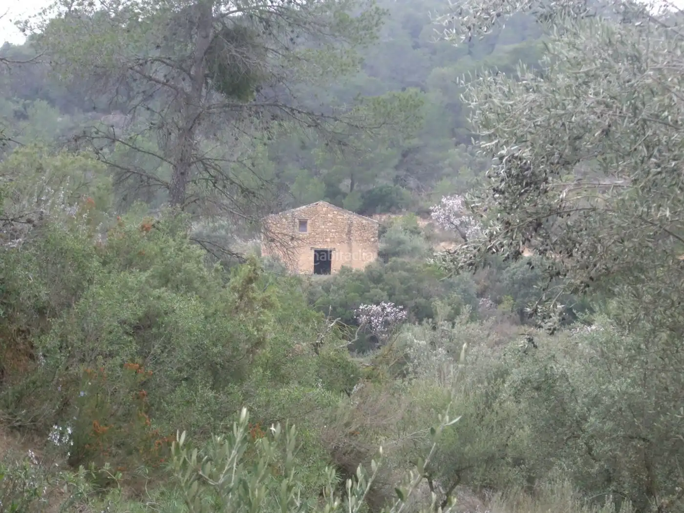 Rustikales Grundstück zum Verkauf in Avinguda Barcelona 5, imagen 3