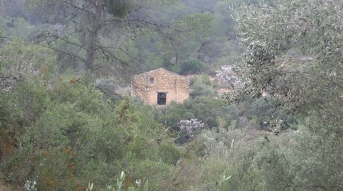 Finca rustica en tarragona, imatge 3