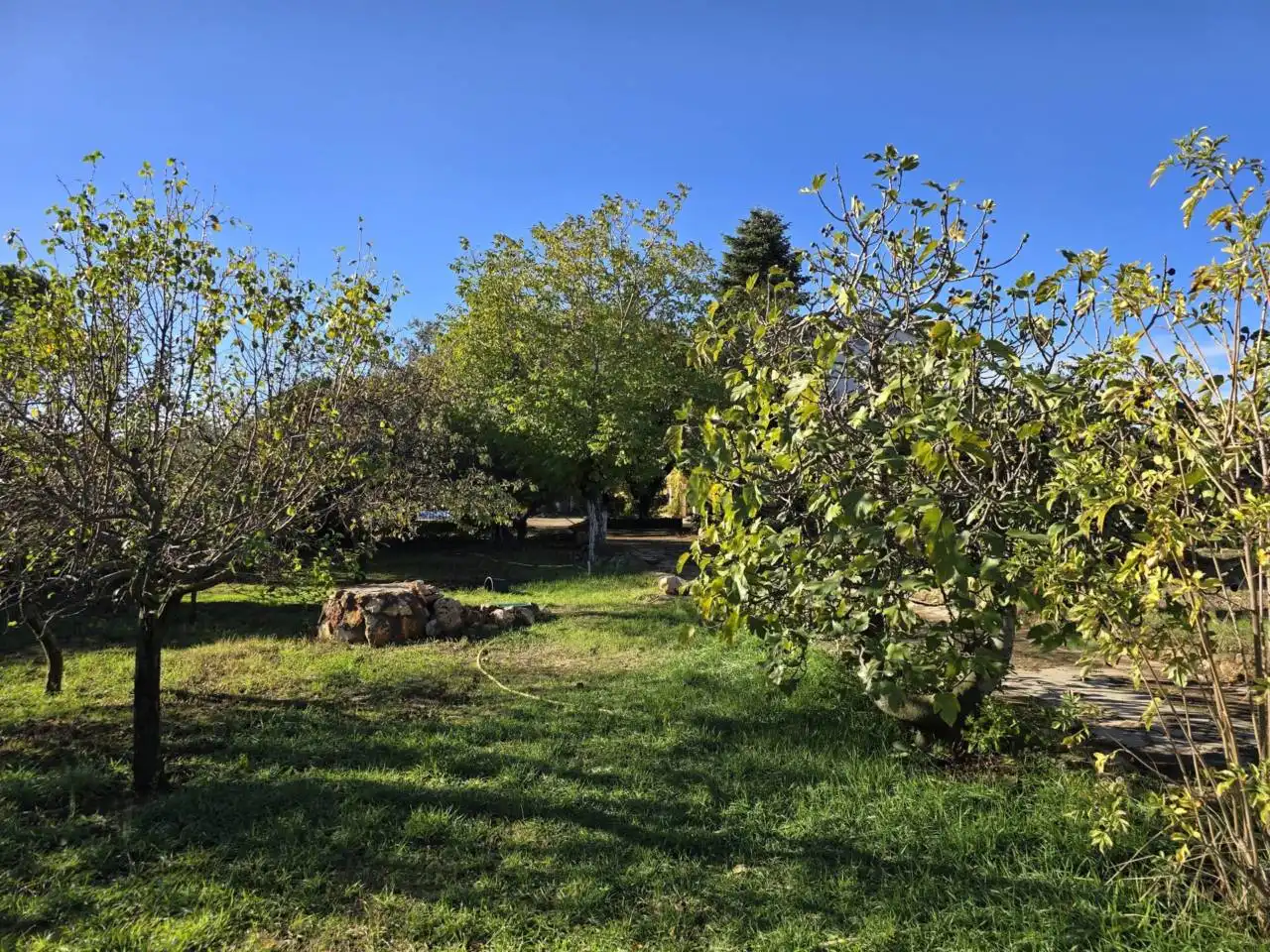 Jardí de Casa o xalet en venda en Pioz amb Calefacció, Jardí privat i Terrassa
