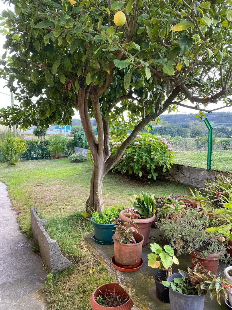 Houses for sale in Luanco - Aramar - Antromero