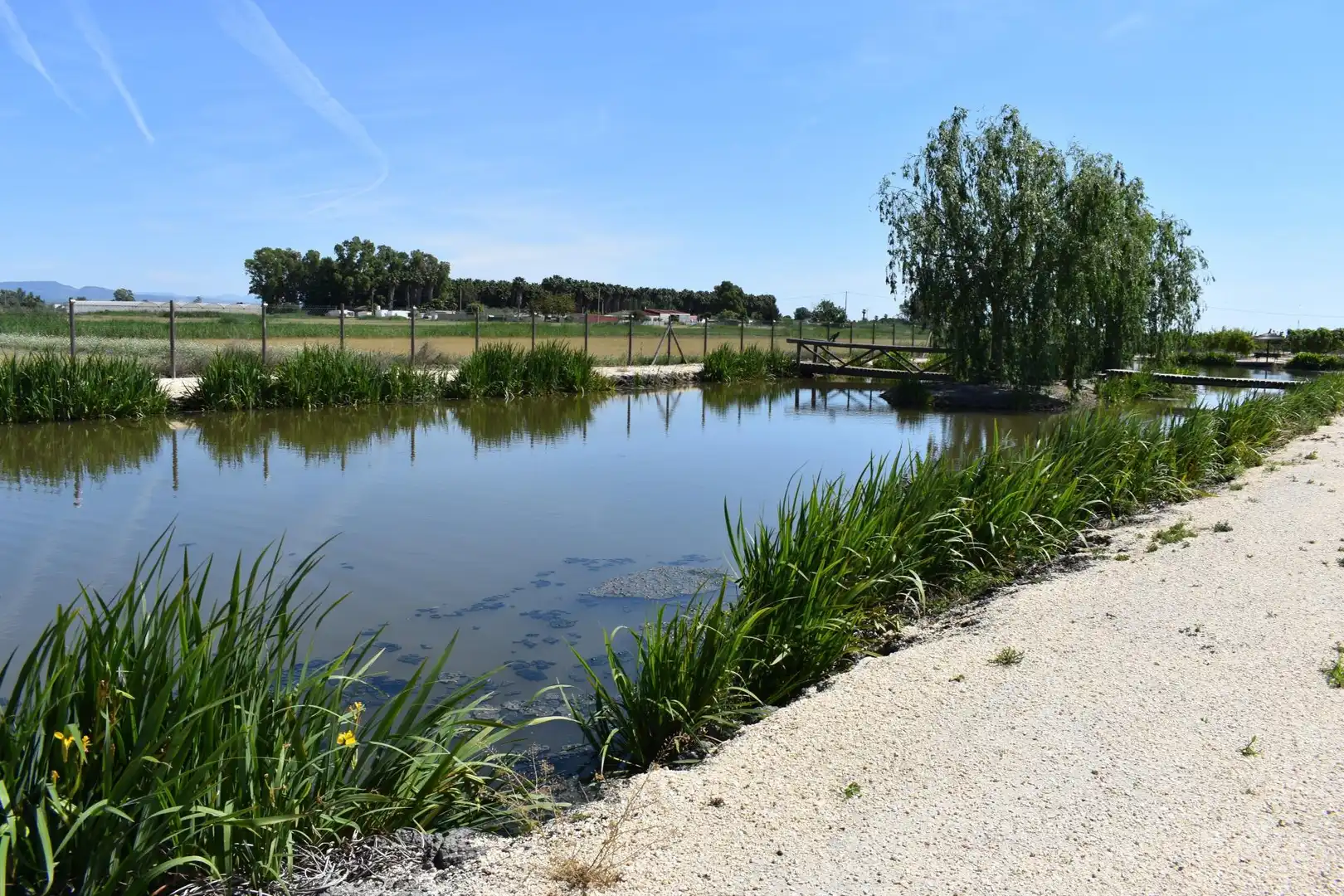 Casa rústica amb piscina en venda a Eucaliptus- Poble Nou del Delta, imagen 4