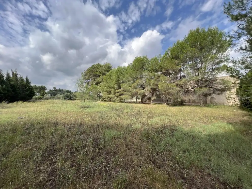 Terreny residencial en venda a Alberic, imagen 46