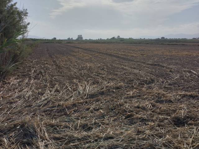 Terreno en Venta en Partida Daimes, 150 en La Foia - Daimés - Asprella