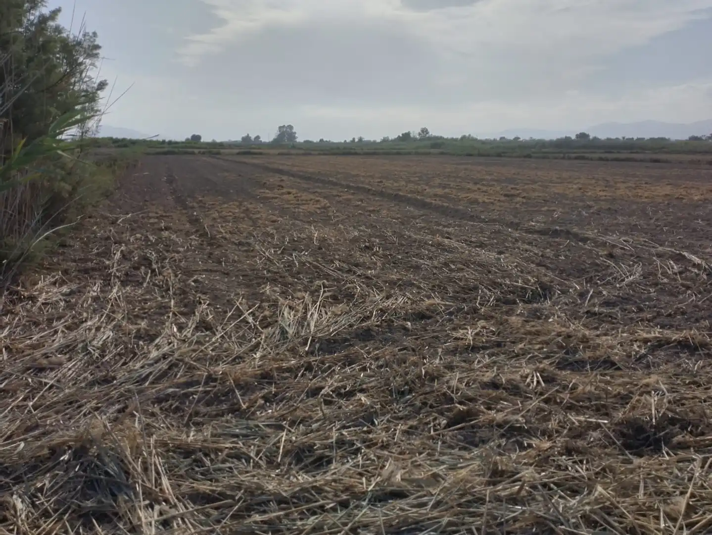 Terreno en venta en Elche / Elx