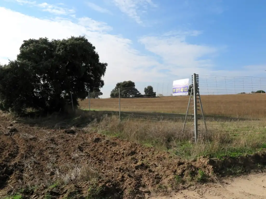 Casa o chalet en venta en Diseminados Camino Casa Roque, 294, La Dehesa - El Pinar