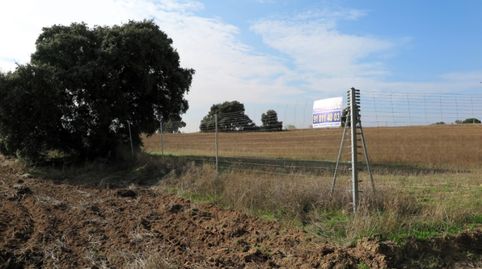 Foto 4 de Casa o xalet en venda a Diseminados Camino Casa Roque, 294, La Dehesa - El Pinar, Navalcarnero
