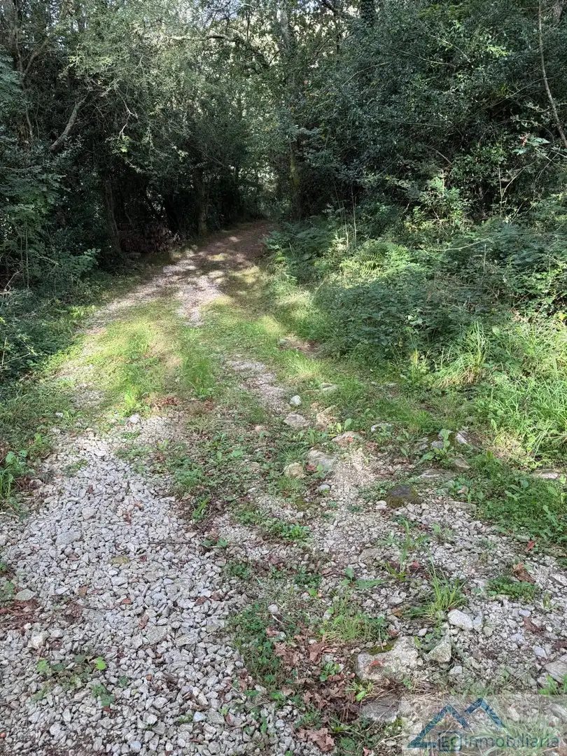 Casa o xalet en venda en Entrambasaguas