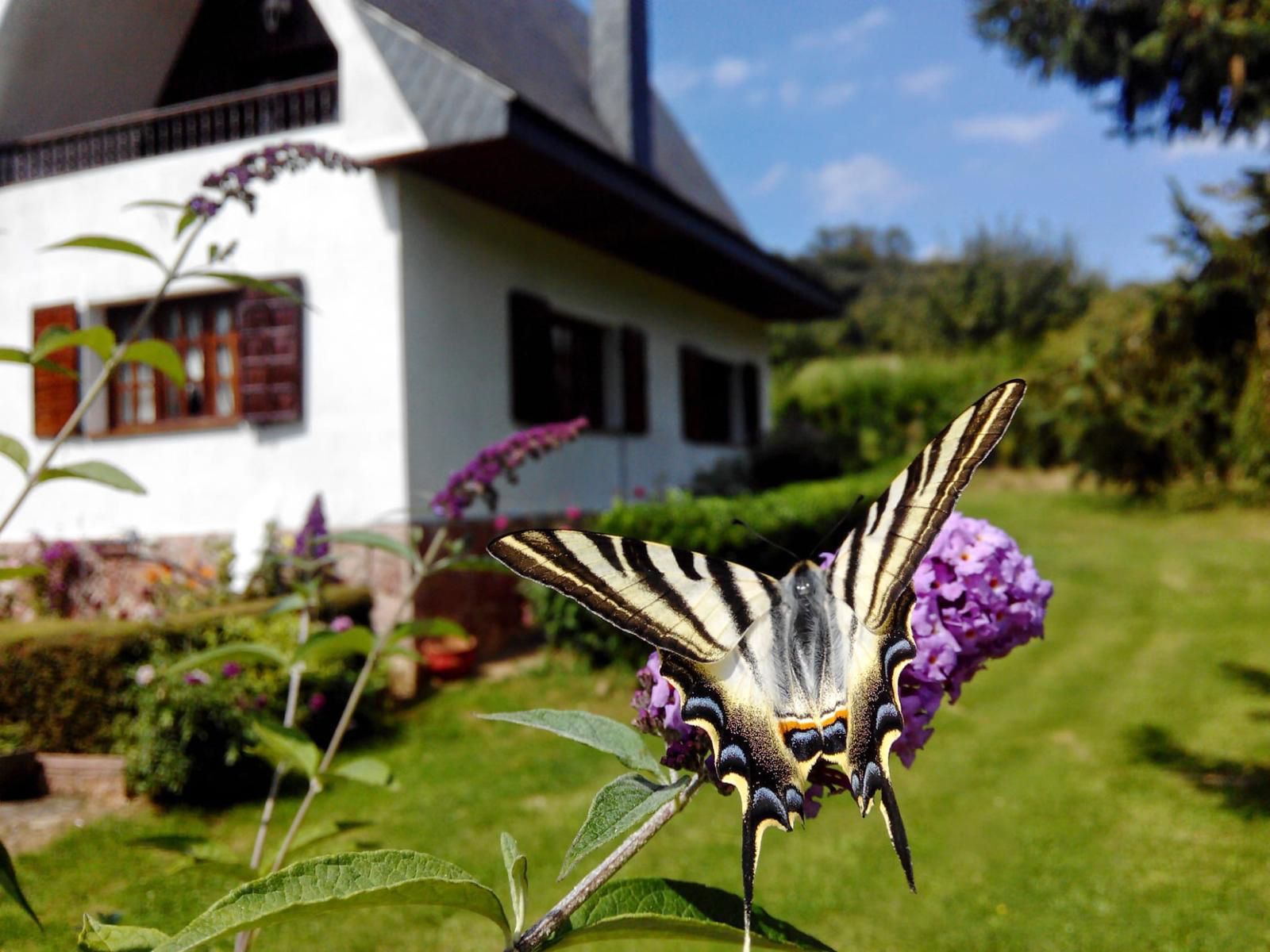 Jardí de Casa o xalet en venda en Las Regueras   amb Calefacció, Jardí privat i Parquet