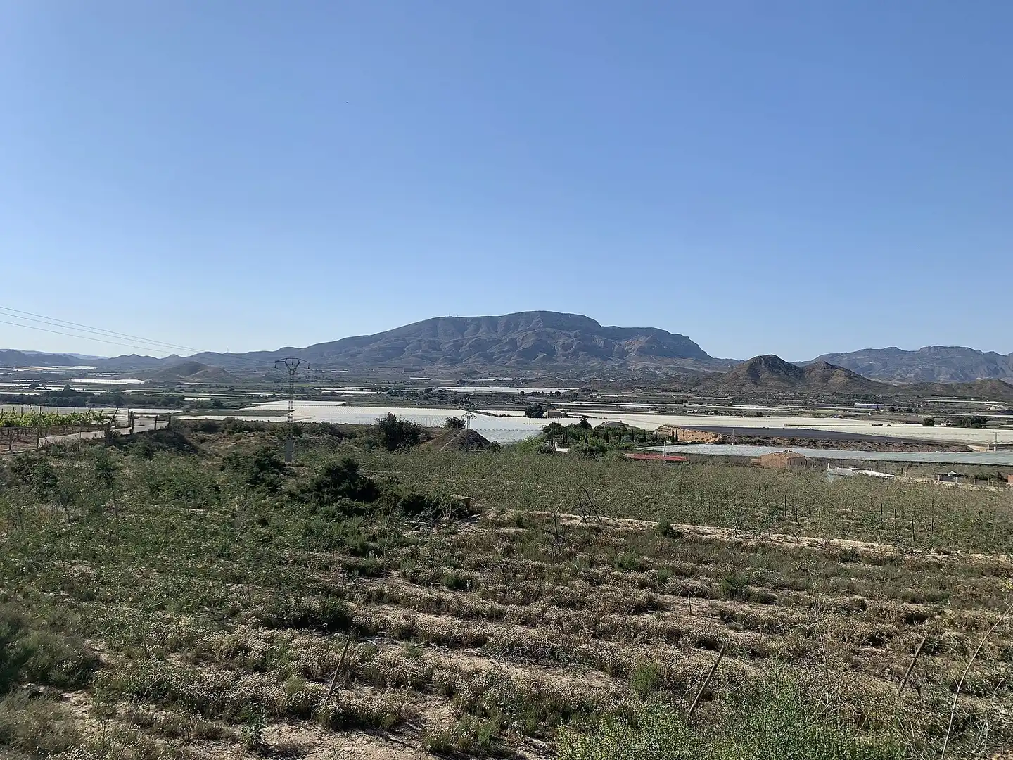 Terreno rústico en venta en Monforte del Cid, imagen 4