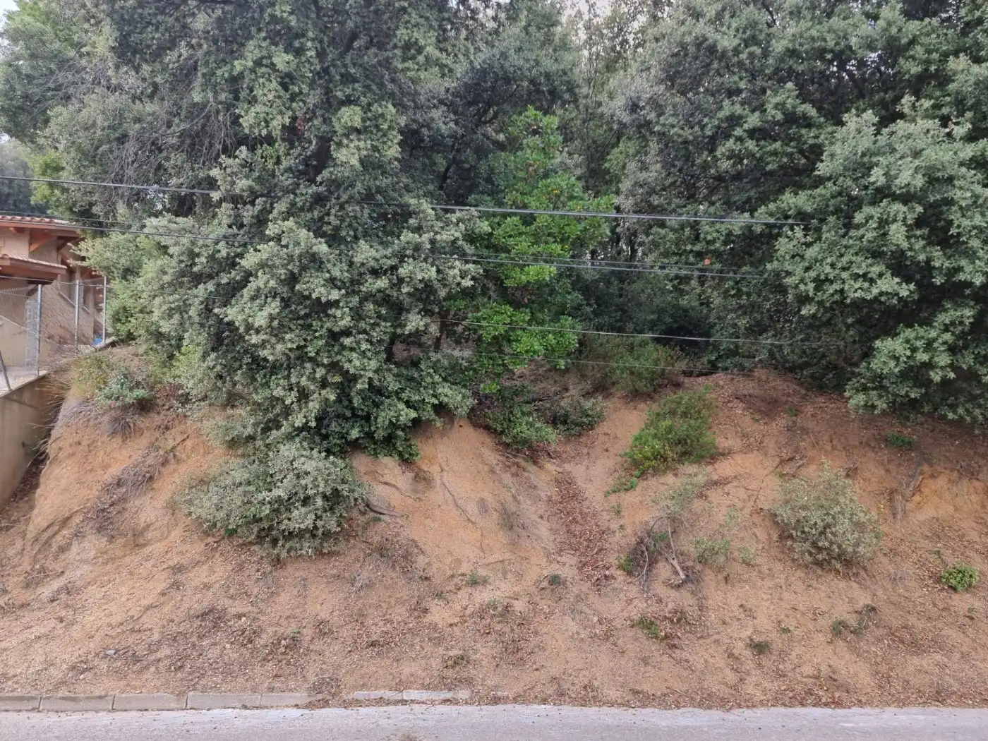 Lands and plots for sale in Calle MARGALLO, imagen 9
