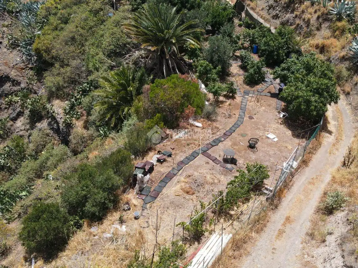 Terreny rústic en venda a Valsequillo de Gran Canaria, imagen 10
