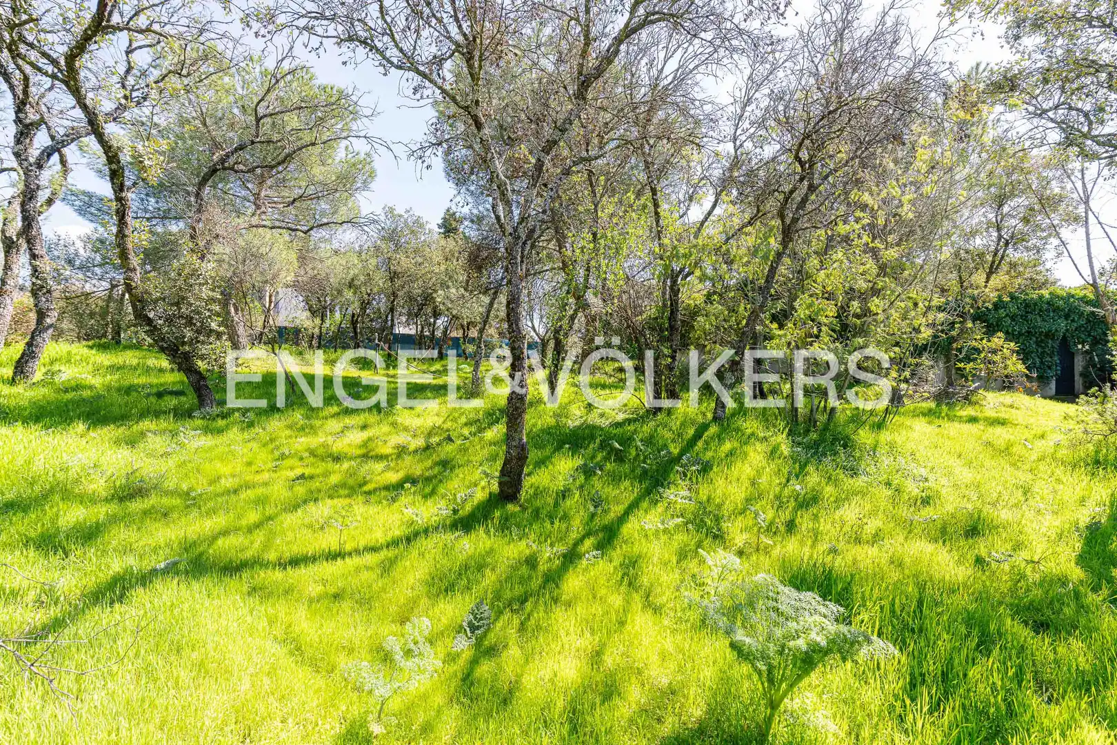 Residencial en venta en Torrelodones